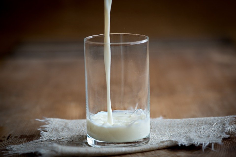 Антибиотики и растительный жир: кто из производителей молока обманывает россиян - фото 4