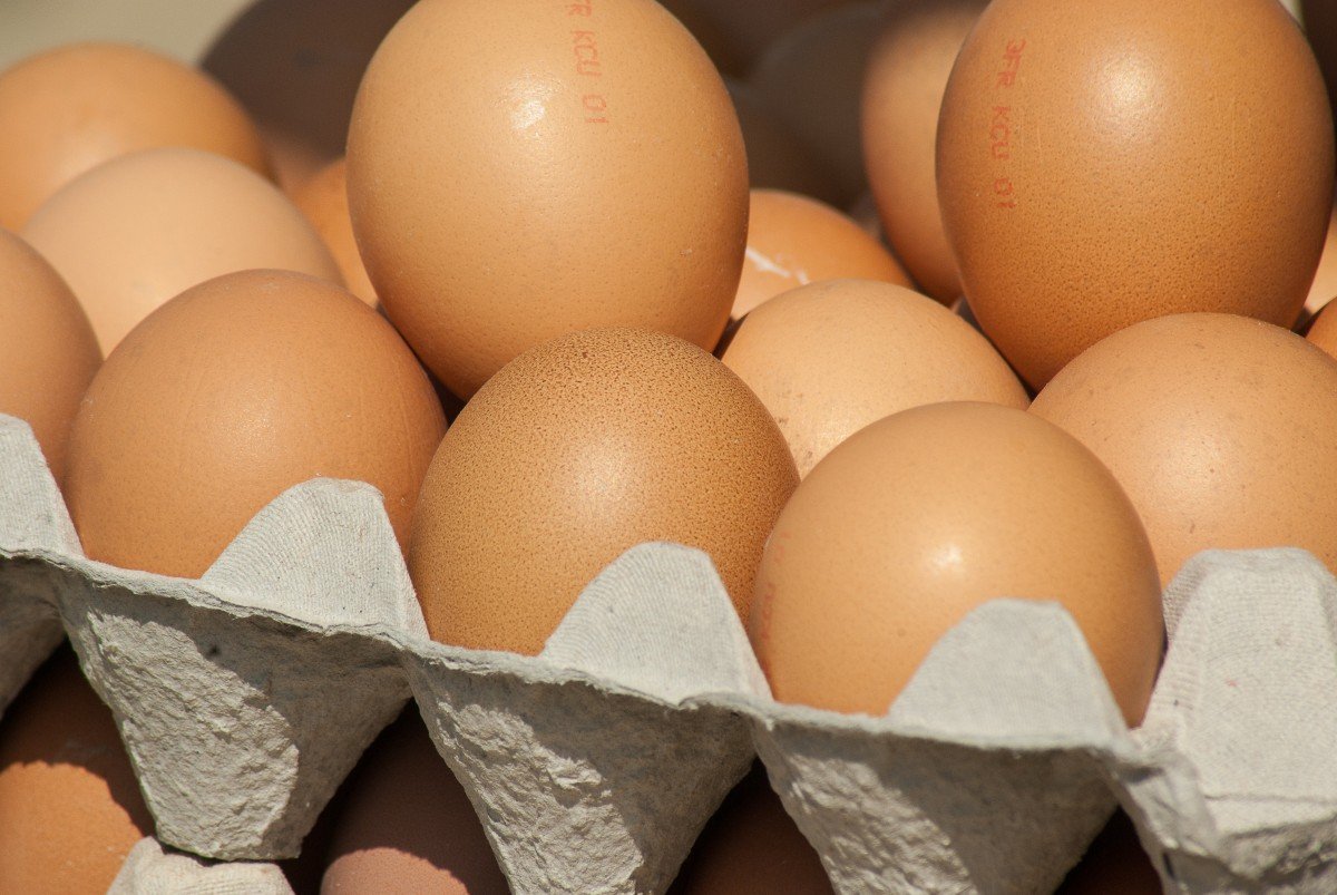 Озвучена причина взлета цен на яйца - фото 1