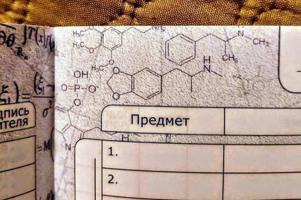 В России выпустили дневники с химическими формулами наркотиков