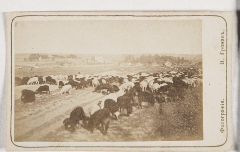 Архивные фото Советского района показали нижегородцам - фото 1
