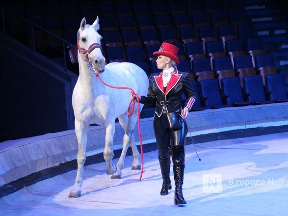 Возвращение &laquo;Бурлеска&raquo;: Нижегородский цирк открывается уникальным шоу Гии Эрадзе - фото 19