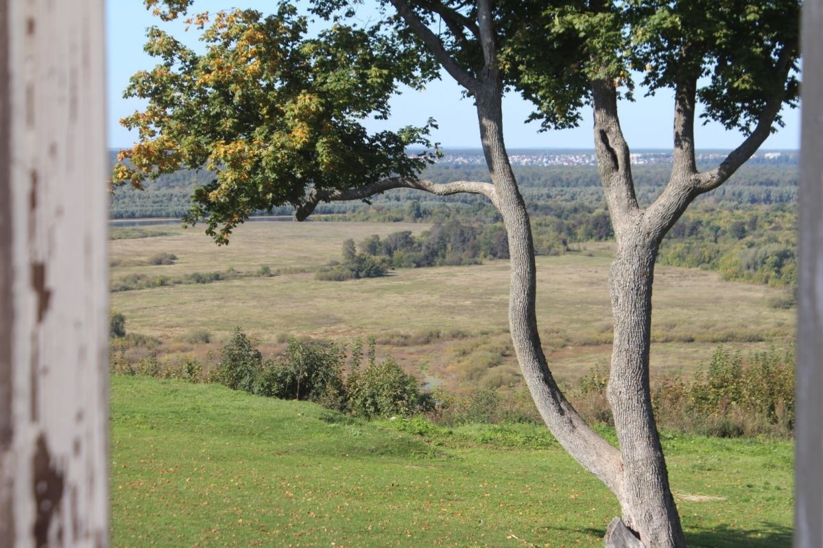 Хозяйка усадьбы Приклонских-Рукавишниковых опасается застройки склона у Оки  - фото 1