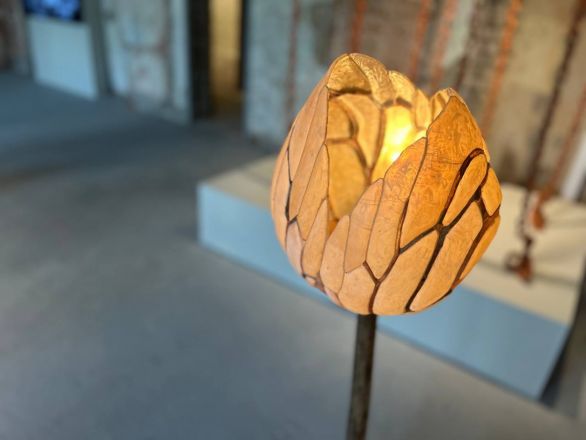 «Кожа Земли»: в Нижнем Новгороде проходит первая международная ЭкоБиеннале - фото 11