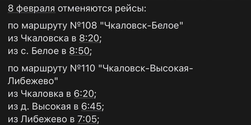 Междугородние автобусы отменят в Нижегородской области из-за дефицита водителей - фото 3