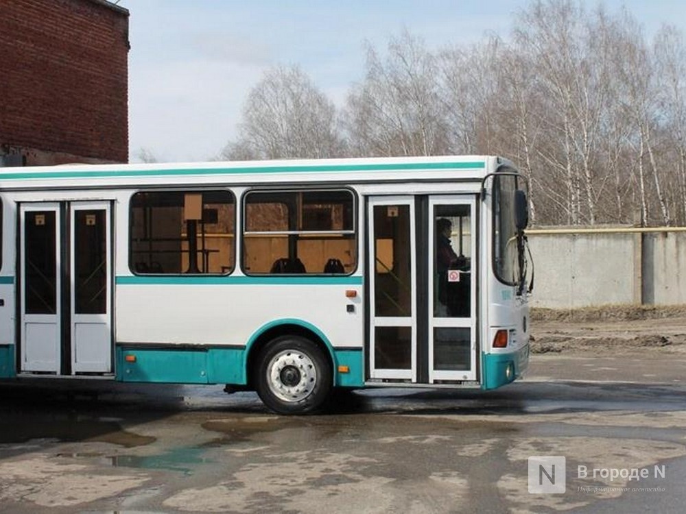 Новый автобусный маршрут запустят в Нижегородской области с 1 сентября - фото 1