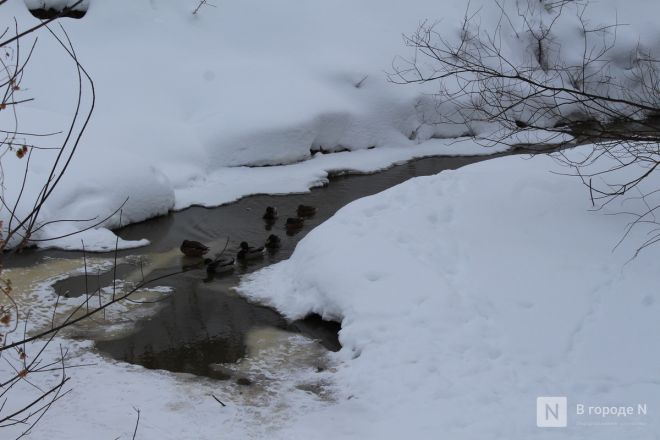 Здесь вырастут высотки: как выглядит площадка под КРТ на улице Янки Купалы в Нижнем Новгороде - фото 61