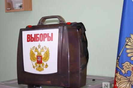 Более 56% составила явка на выборы губернатора Нижегородской области