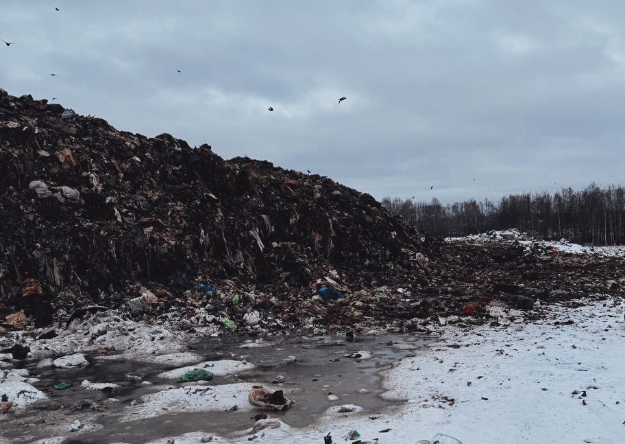 Мусорный полигон в Нижнем Новгороде закрыли за нарушения - фото 1