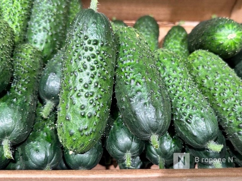 Партии зараженных фруктов и овощей обнаружили в Нижегородской области - фото 1