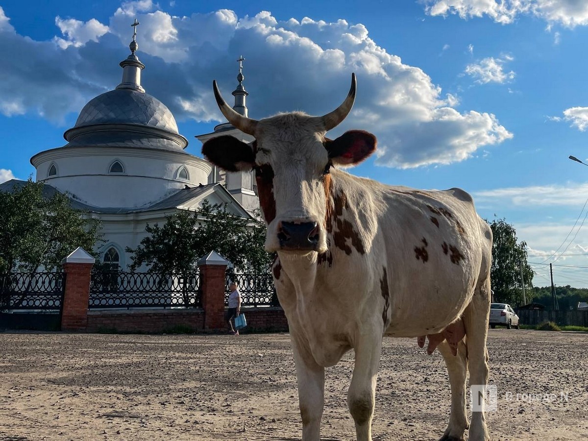 10 партий продукции «из будущего» обнаружили в Нижегородской области