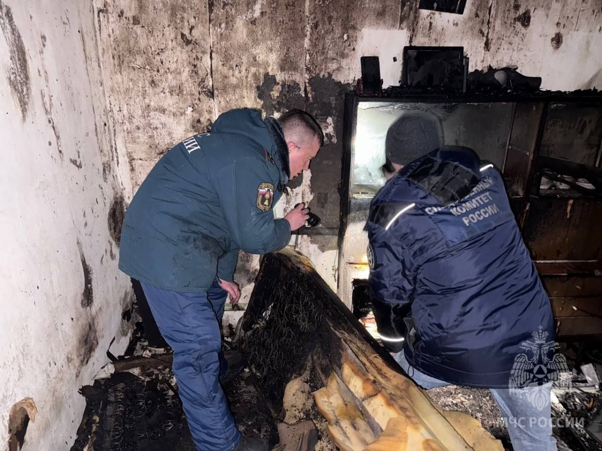 Две женщины погибли на пожаре в Нижегородской области - фото 1