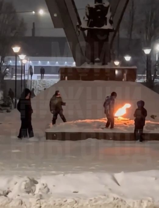 Нижегородку привлекли к ответственности за бросавшего снег в Вечный огонь сына - фото 1