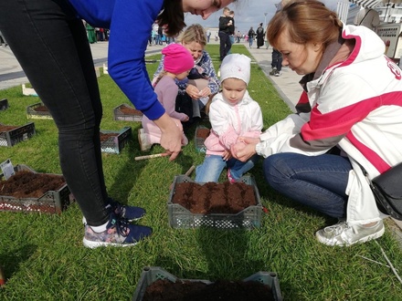 Овощные букеты и соседское чаепитие: на Нижне-Волжской набережной прошел экологический фестиваль