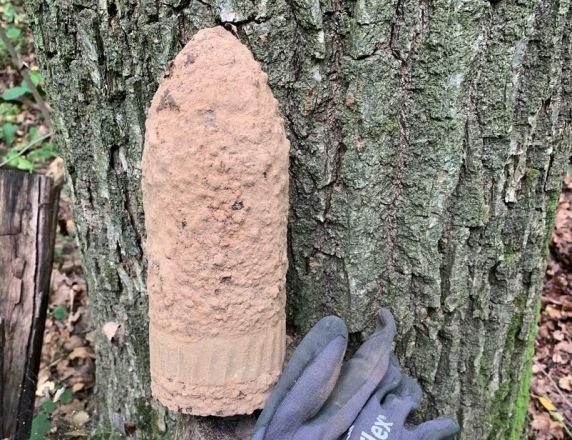 Около семи боеприпасов обнаружили грибники в нижегородском лесу - фото 3