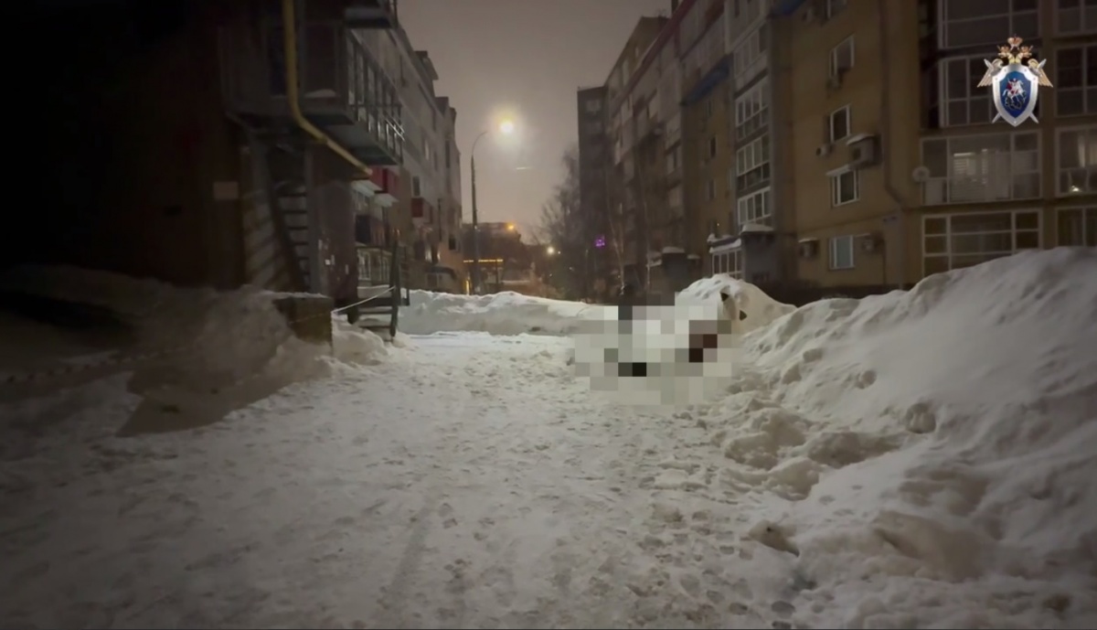 Уголовное дело возбудили после гибели юной нижегородки из-за схода глыбы льда - фото 2