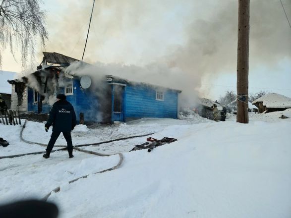 Два человека погибли на пожаре в Большемурашкинском районе - фото 3