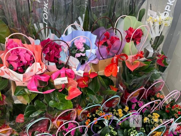 Мужчины, готовьтесь. Рассказываем, сколько стоят цветы к 8 марта в Нижнем Новгороде - фото 97