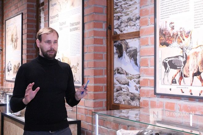 Ледниковый период по-нижегородски: палеонтологическая выставка открылась в Кремле - фото 7