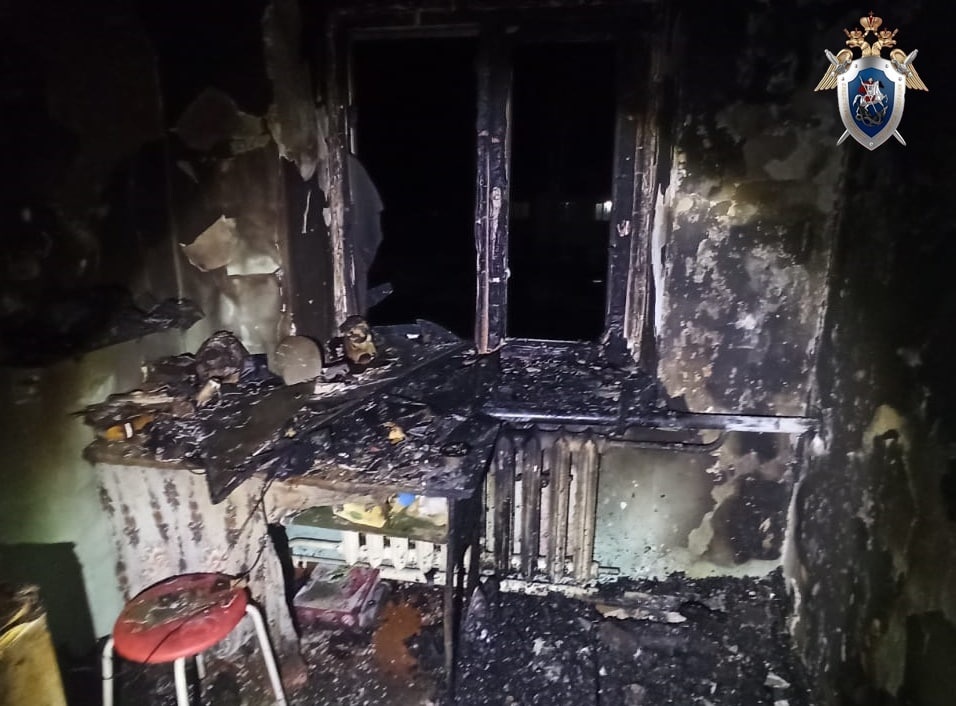 Пожилая нижегородка погибла на пожаре в Вадском районе - фото 1