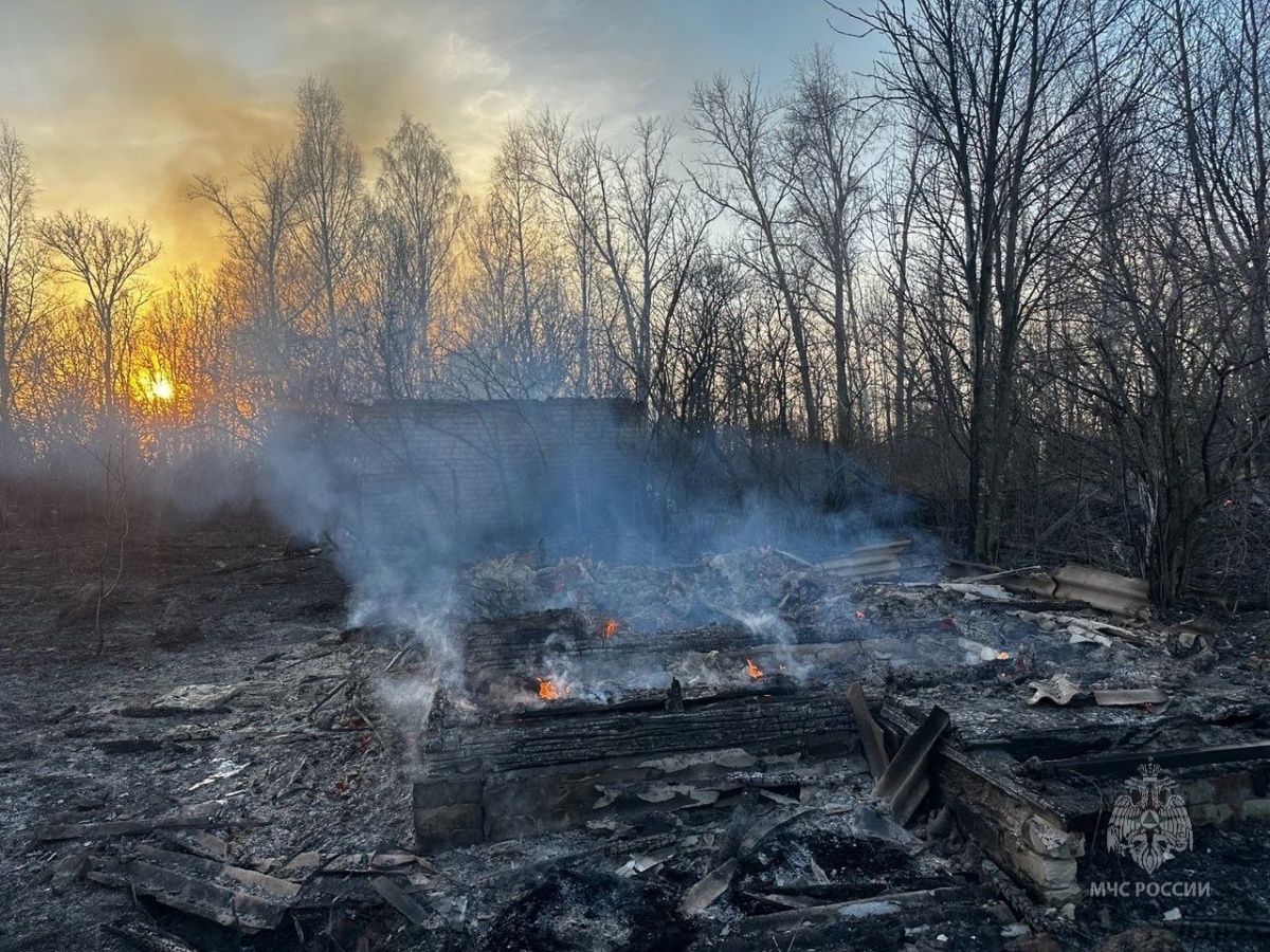 Четыре строения сгорели из-за поджога в СНТ в Нижегородской области - фото 2