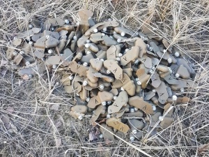 Более 200 противопехотных мин обнаружено в лесу у Торфосклада