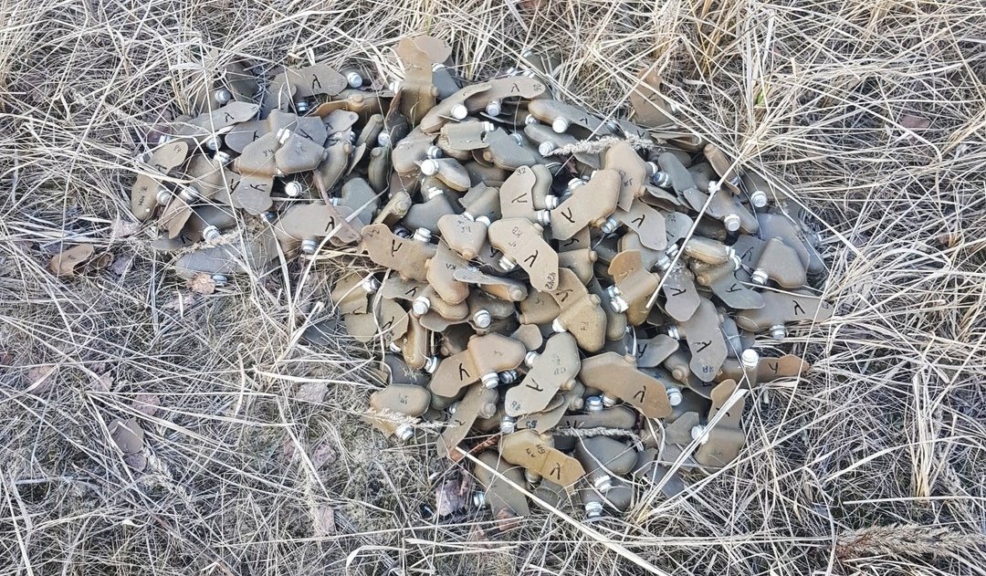 Более 200 противопехотных мин обнаружено в лесу у Торфосклада - фото 1