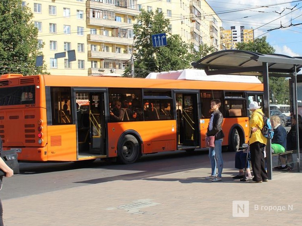 Названы самые популярные автобусы у нижегородцев в мае - фото 1