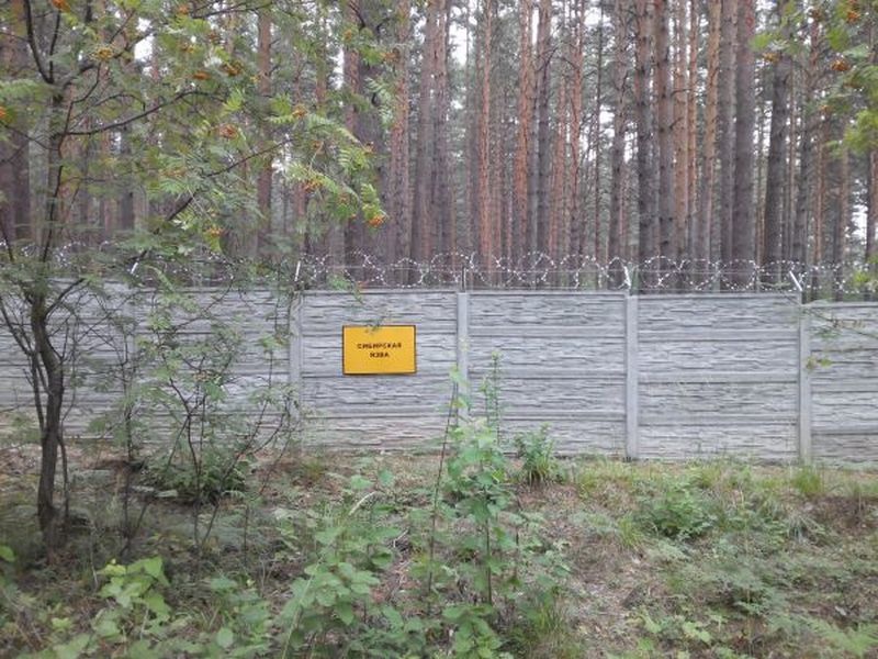 Угроза распространения сибирской язвы зафиксирована в Нижегородской области - фото 1
