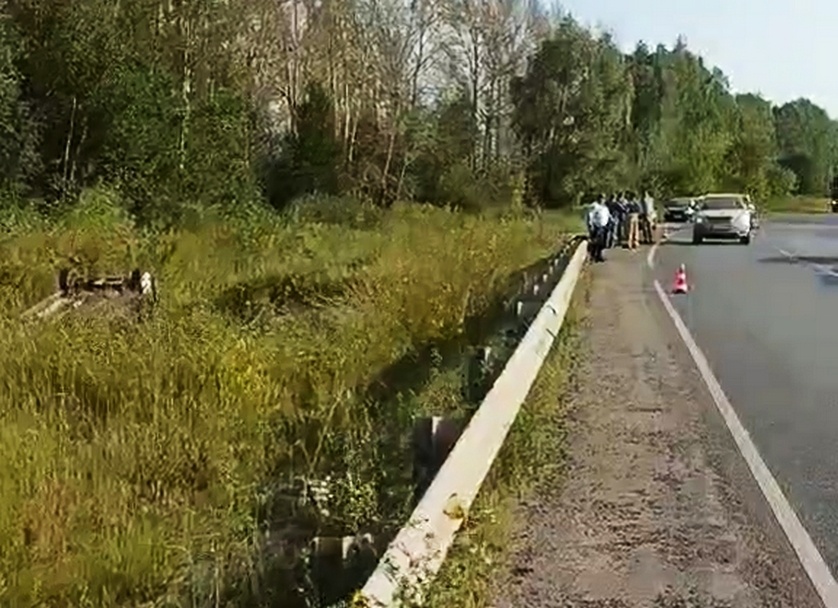 Пассажир погиб в улетевшей в кювет на скорости иномарке в Починковском районе - фото 1