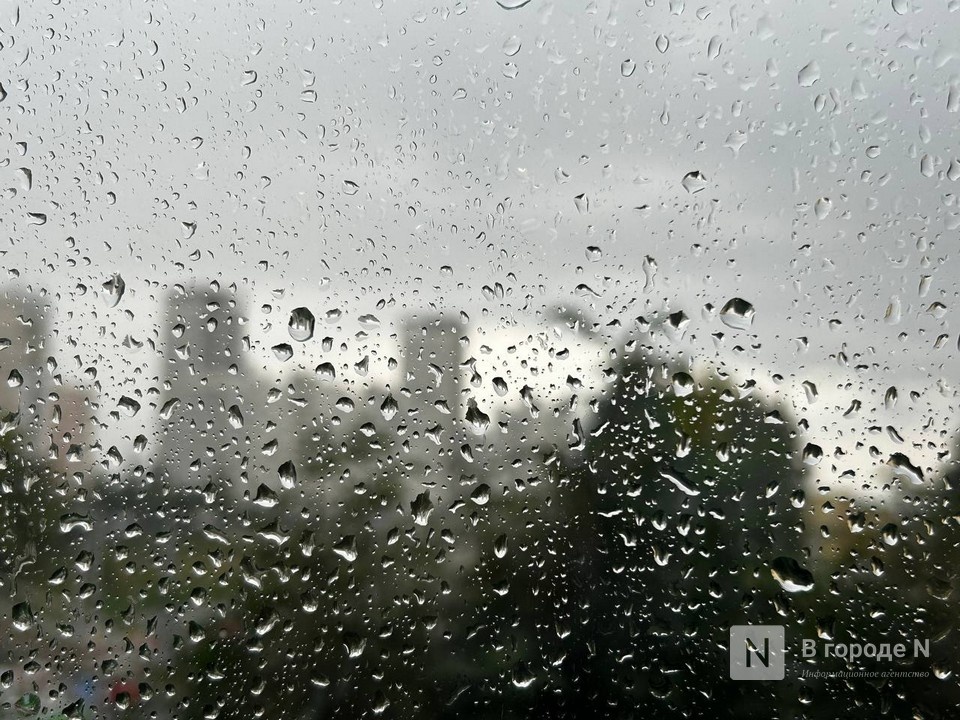 Опубликован прогноз погоды в Нижнем Новгороде на выходные 29 и 30 ноября - фото 1