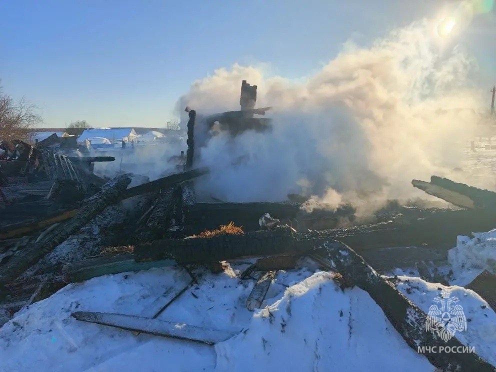 Мужчина погиб на пожаре в частном дом в Нижегородской области - фото 1