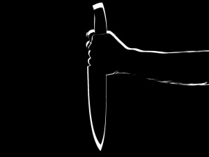 Пожилая жительница Канавина подозревается в убийстве молодого сожителя