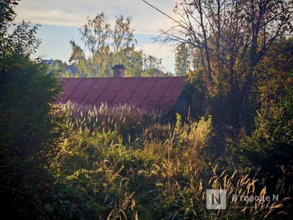 Город с открытки: почему Плес привлекает туристов и стоит ли вообще туда ехать - фото 56