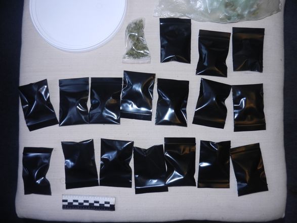 Почти 20 граммов каннабиса изъяли у дзержинского наркоторговца - фото 4