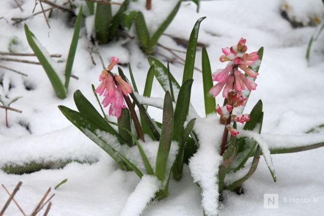 Апрельский апокалипсис в Нижнем Новгороде: фоторепортаж с улиц, заваленных снегом - фото 6