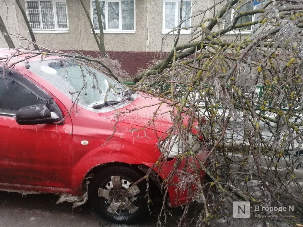 575 деревьев упало в Нижнем Новгороде из-за ледяного дождя - фото 1