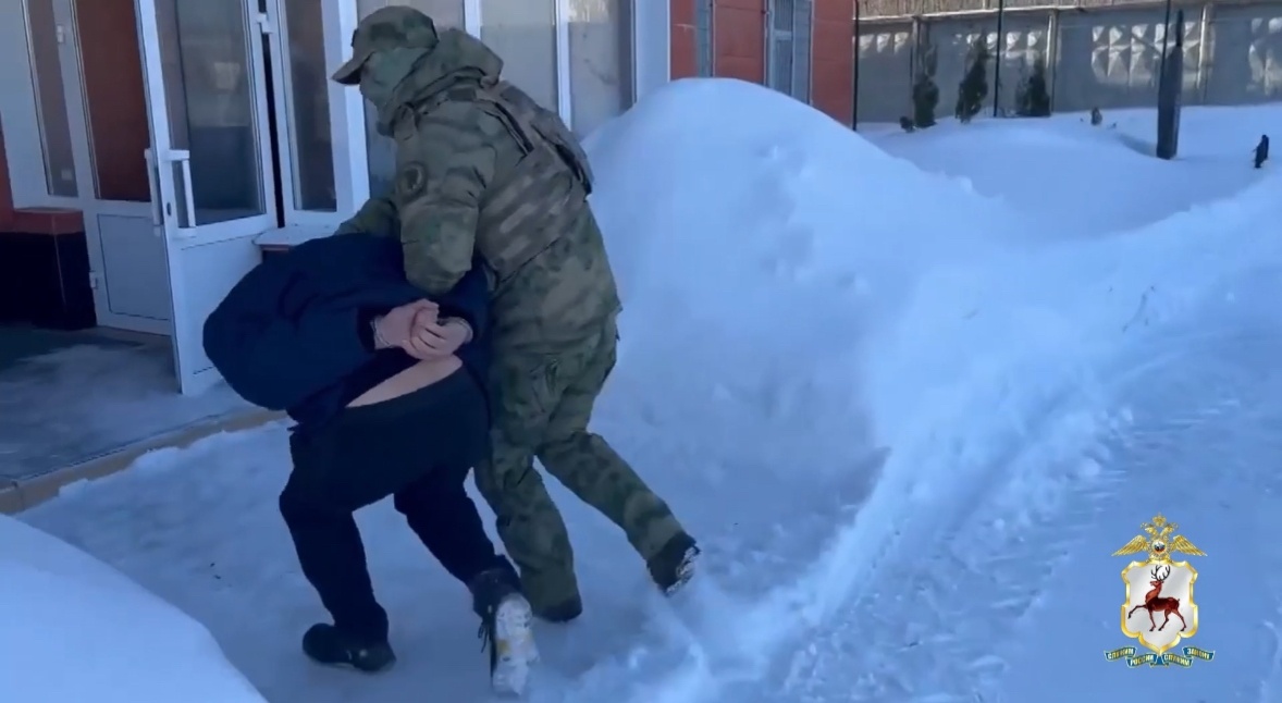 ФСБ задержала иностранца за драку и мошенничество в Нижегородской области - фото 1