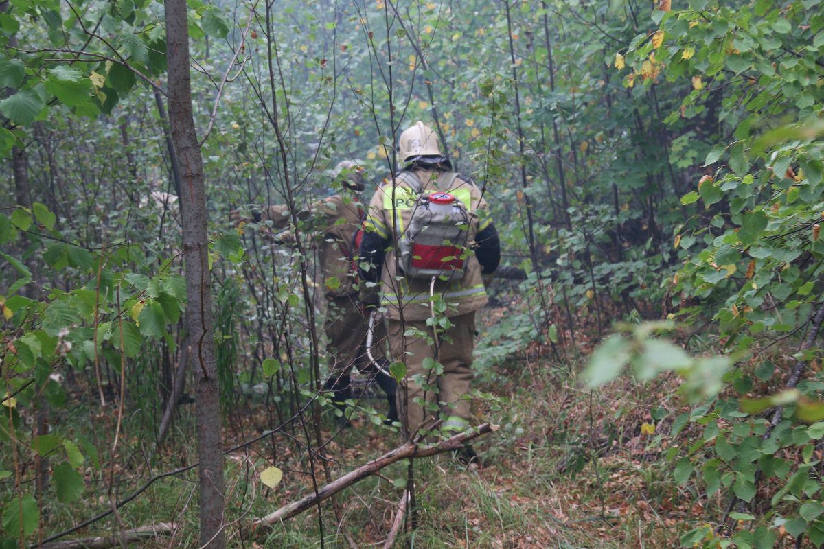 МЧС: все очаги природного пожара в Первомайске локализованы - фото 5