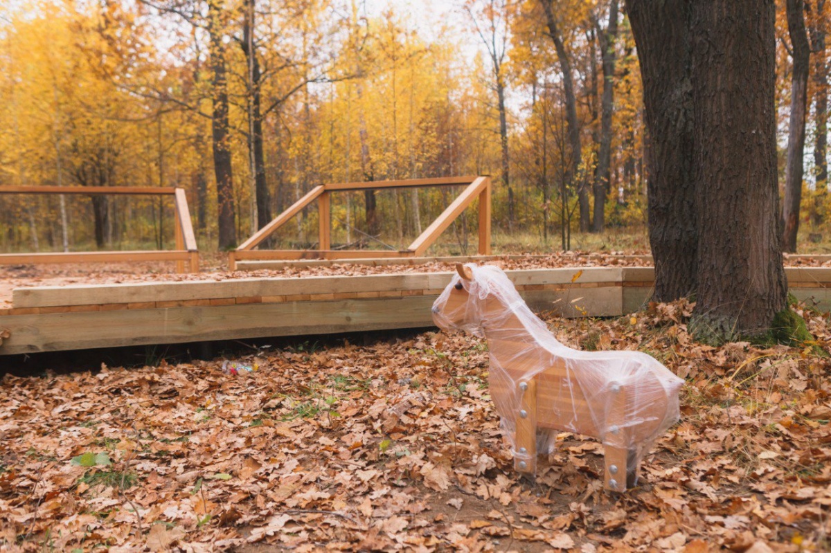 Щелоков показал, как изменятся &laquo;Дубки&raquo; в Арзамасе после благоустройства - фото 2