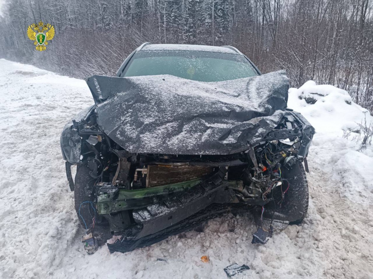 Опубликованы фото ДТП в Володарском округе, где погибли четыре человека - фото 1