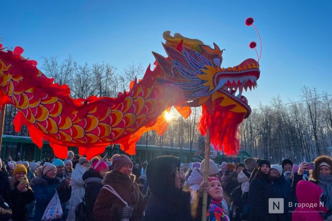 Китайский новый год отметили в Нижнем Новгороде - фото 3