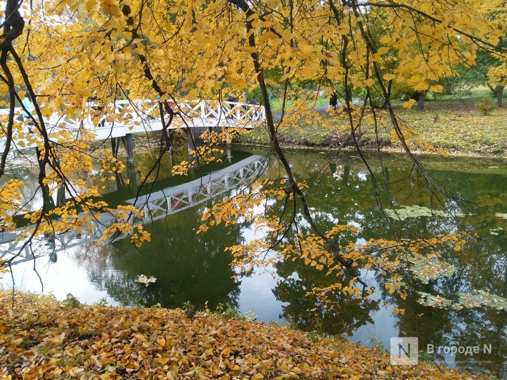 Синоптики рассказали, какой погоды ждать нижегородцам в сентябре - фото 1