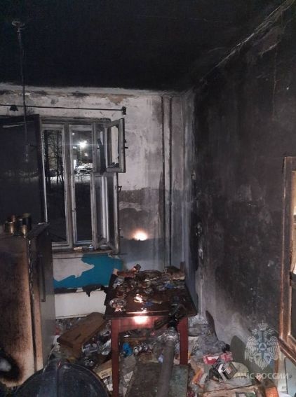 Пятерых детей спасли из горящего дома в Нижнем Новгороде - фото 1