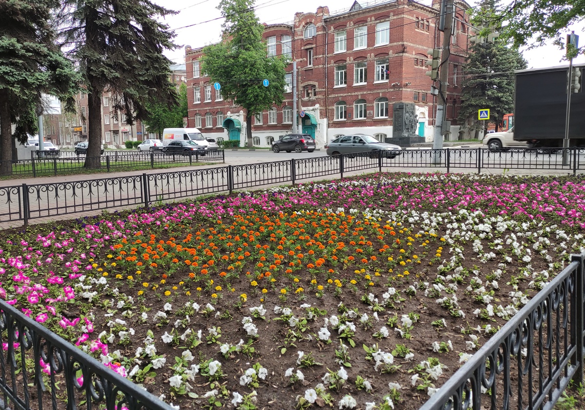 Площадь цветников в Сормове увеличили втрое к 800-летию города - фото 1