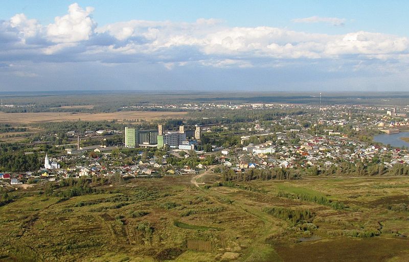 Володарск и Решетиха могут стать территориями опережающего социально-экономического развития  - фото 1