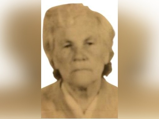 95-летняя женщина пропала в Заволжье - фото 1