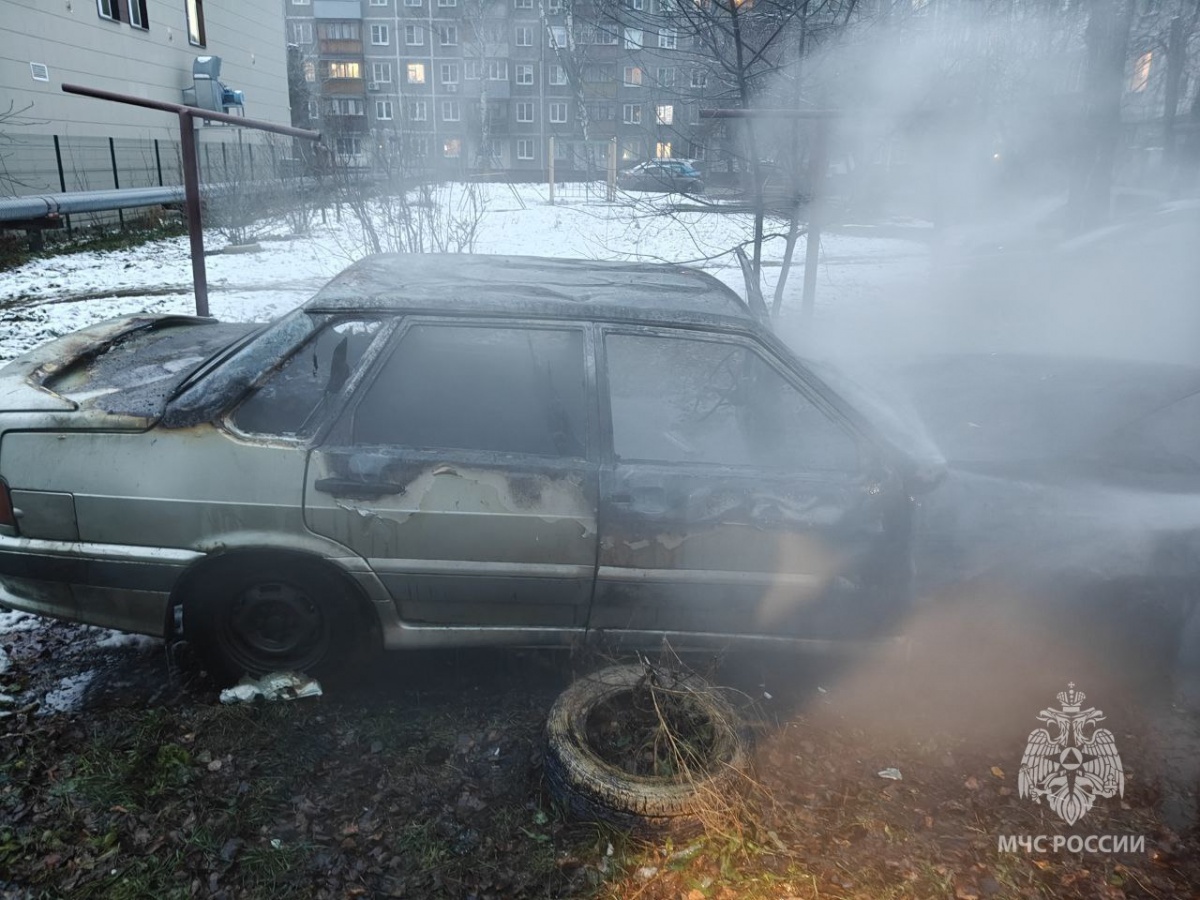 Два автомобиля сгорели на Автозаводе в Нижнем Новгороде - фото 1