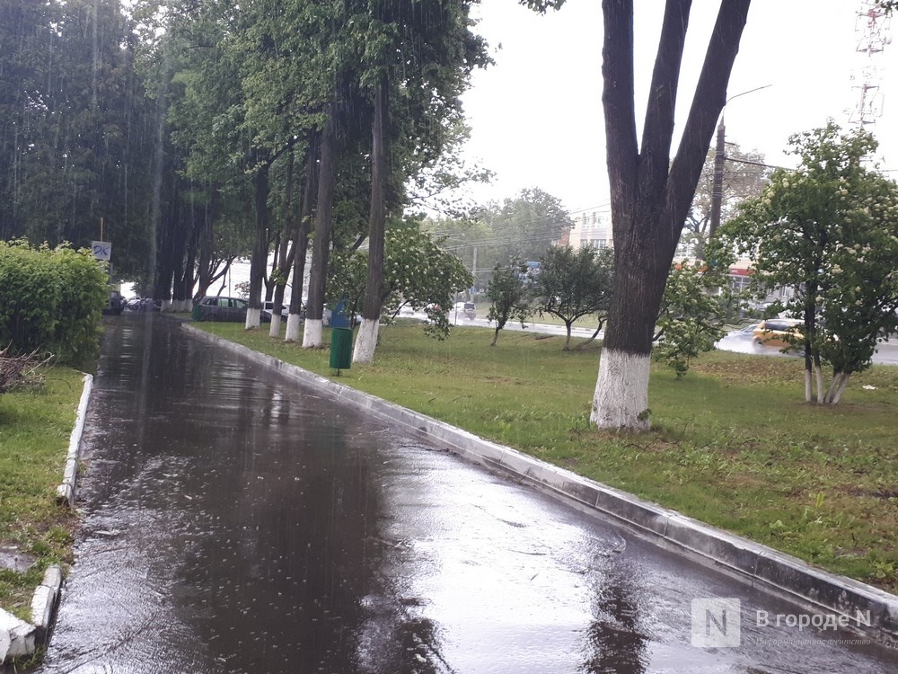 Грозы с градом накроют Нижегородскую область днем 13 июля - фото 1