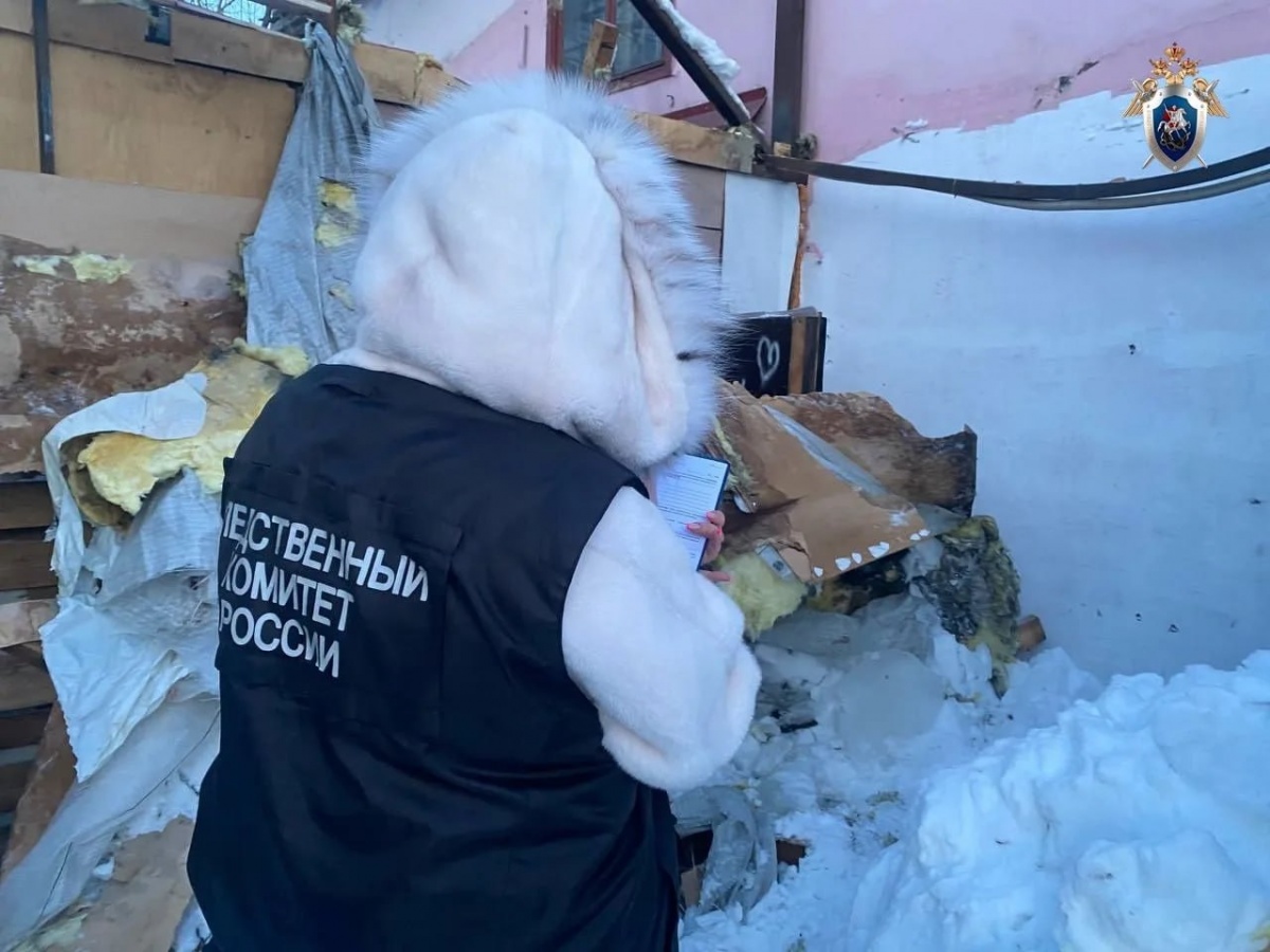 СК раскрыл подробности ареста Агеева после гибели подростка в Сормове - фото 1