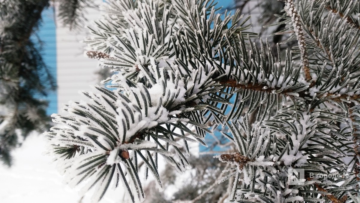 Когда в Нижний Новгород придут морозы: ответ синоптиков - фото 1
